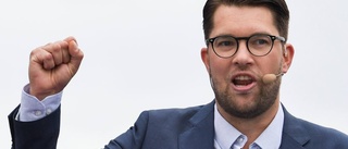 Åkesson är inte trovärdig i vinstfrågan