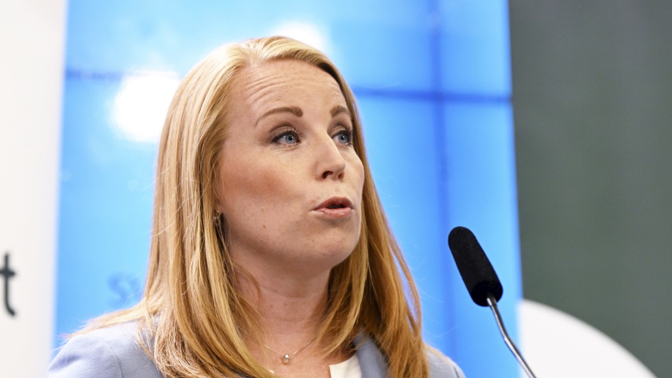 Inom borgerligheten har det framför allt varit Centerpartiets profilfråga att dela ut stöd till företag.