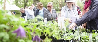 Så vill vi utveckla Österåker framåt