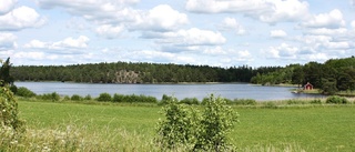 Alla utom S lovar satsa på landsbygden