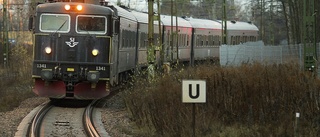 Påkörd fågel orsakade förseningar i tågtrafiken