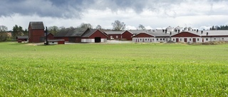 Efter fågelinfluensautbrottet: Detta händer nu