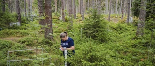 Galopperande klimatutsläppen mäts – utanför Uppsala: ”Halten ökar hela tiden”