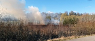 Gräsbrand i Norrköping