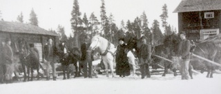 Okänd - EDVIN ANDERSSON, BöRDIG FRåN RöRSELE/ÖVRE ÅMNäS., okänt årtal