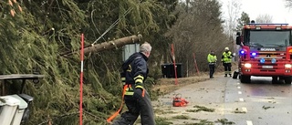 Gran ställde till det för trafiken