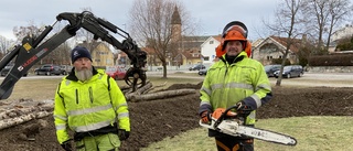 Kommunen satsar på biologisk mångfald i Nabbviken – varvar "växtlasagne" för odling: "Har vattentank i sig"