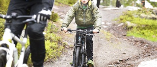 Ute och cyklar i skogen på Vitberget