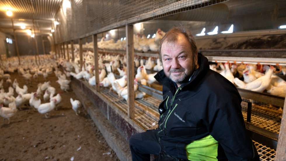 Niclas Aronsson tycker att det känns vemodigt att sluta med äggproduktion.
