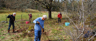 Så ska den värdefulla naturen bevaras