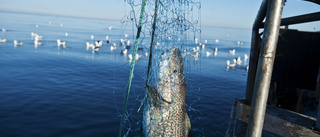 Angående Natura 2000                     