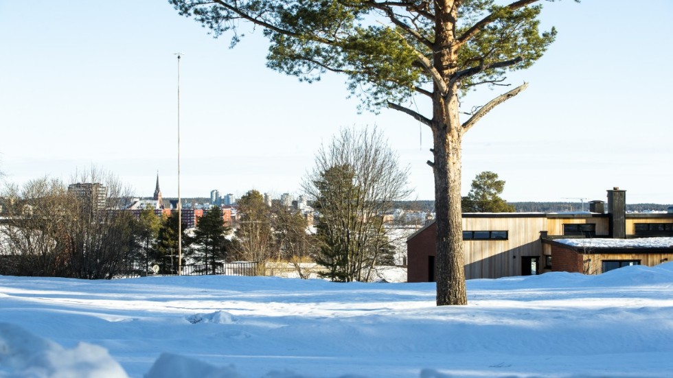 Tomtaffären på Bergnäset stoppas. Kommunen har tänkt om, bland annat efter den hårda kritik som riktats mot planerna.