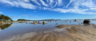 Läsarbilden: En dag på stranden