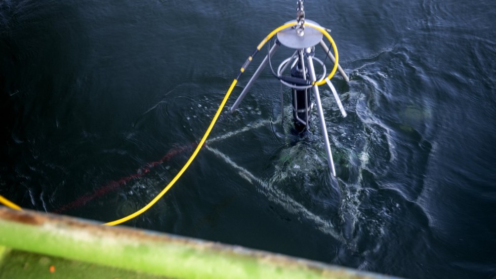 Sonarutrustning sänks ned till botten runt fartyget och skannar omgivningen. Det innebär att akustiska instrument sänder ut ljudvågor som reflekteras tillbaka och med hjälp av detta kan en bild ritas upp.