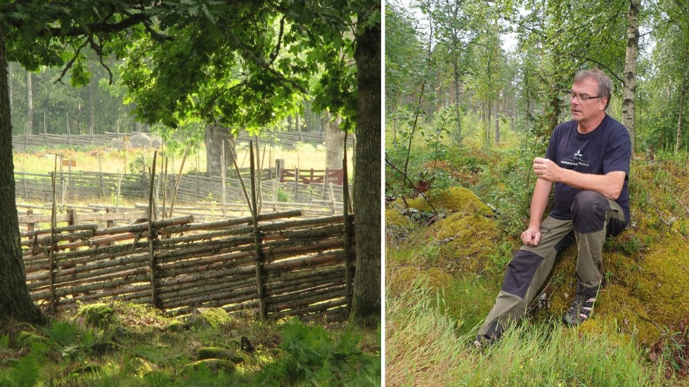 Åke Bruhn har satt samman en naturguide om utflyktsmål i Ydre.