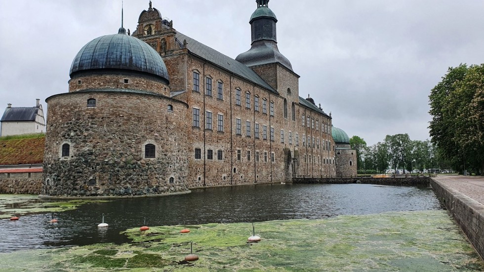 En ansamling av gröngult slem ligger nu i vallgraven i Vadstena.