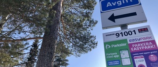 Hur tänker Pitebo kring gästparkeringarna?