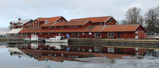 Bolagets planer på solceller i hamnen sågas