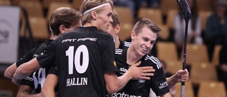 Se Linköping innebandy i slutspelet