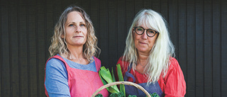 Efter den veganska julkokboken – Sörmländska författarduon släpper nytt