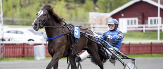 Holter Oda till final i Kriteriestoet 