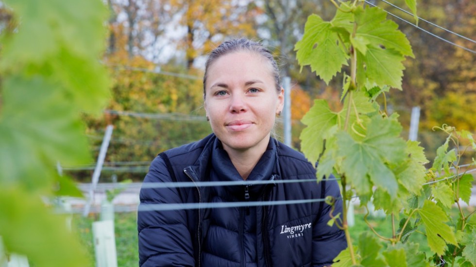 Regeringens förslag om gårdsförsäljning välkomnas av Emma Serner, vd och medgrundare av Långmyre vineri i Hamra. ”Det skulle betyda ganska mycket för oss och vår ort”, säger hon.