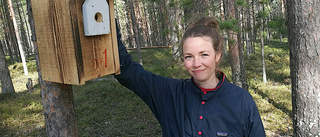 Boden har fått pippi på holkar • 30 är inflyttningsklara på Gruvberget"