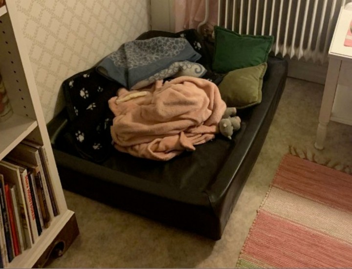 Hundsängen blev gömstället när 44-åringen försökte dölja den stulna datorn då Skelleftepolisen gjorde husrannsakan.