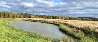 Ett tryggt och klimatsäkert Katrineholm