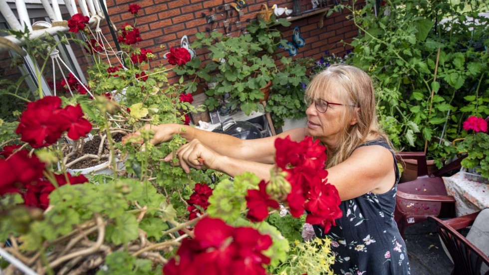 "Jag var inte mätt på jobbet, men med ålderns rätt kändes det tungt med heltid", säger Susanne Hagman.