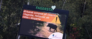 Ingen svinpest utanför "kärnområdet" i Fagersta