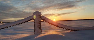 Läsarbilden: Midvinter              