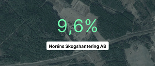 Årsredovisningen klar: Så gick det för Noréns Skogshantering AB