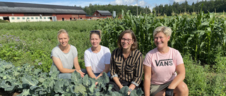 Fem familjer har valt att odla sin mat ihop