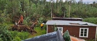 Efter stormen – nu har alla fått strömmen tillbaka