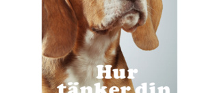 Hur tänker din hund? 