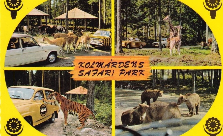 Safariparken i Kolmården.