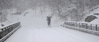 20 centimeter snö väntar – SMHI varnar