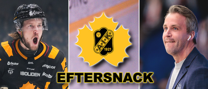 AIK-tränarens besked om Luke Witkowski – då kan han göra debut