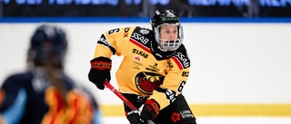 Betyg: De var bäst i Luleå Hockey/MSSK:s rysare i seriefinalen