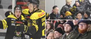 BILDEXTRA: Dramatisk match mellan VH och AIK – syns du i vimlet?