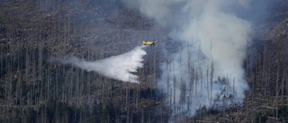 Stor insats mot tysk skogsbrand