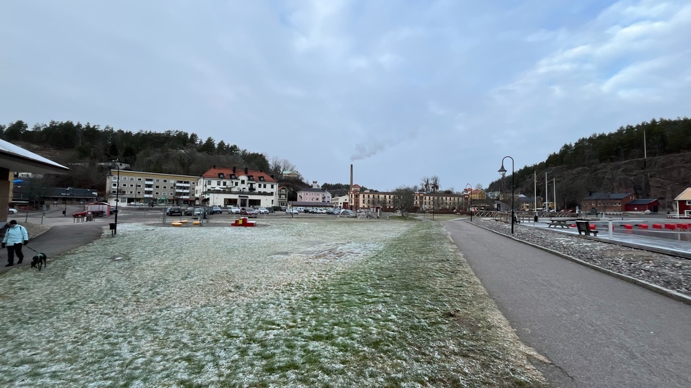 Besöksnäringen är viktig för Valdemarsviks kommun och flera företag är beroende av turismen. Men vem som ska ge turisterna service under 2025 är oklart.