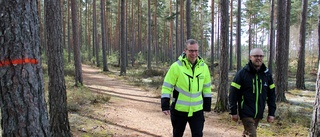 Hultsfred först ut med hyggesfritt skogsbruk • Försök ska göras i tätortsnära skog • "Bra att man inte kalhugger"