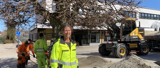 Tusentals plantor ska planteras på torget – "Nu börjar det hända grejer"