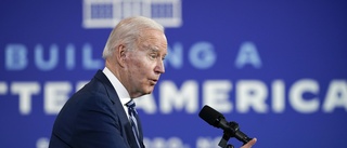 Biden kallar allierade till toppmöte om Ukraina