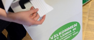 Att påverka kallas demokrati