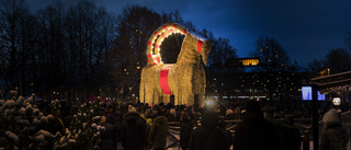 Tände på lilla Gävlebocken – döms