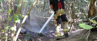 Släckte mindre brand i Vrinneviskogen