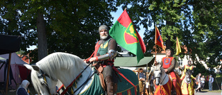 Folkfesten inställd - storsatsning väntar nästa år